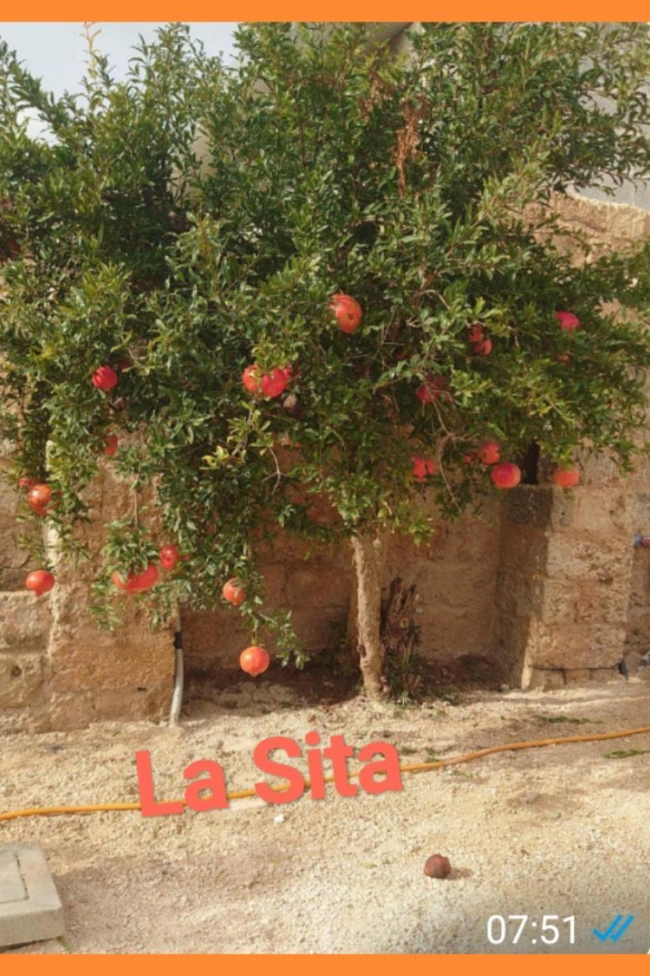 La Sita Lägenhet Neviano Exteriör bild